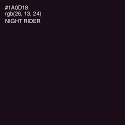 #1A0D18 - Night Rider Color Image